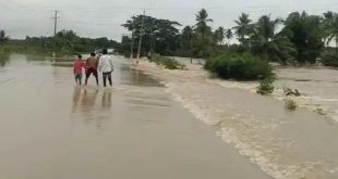 ಸೇತುವೆಯ ಮೇಲೆ ಮಳೆಯ ನೀರು,ಯುವಕರು ಸೇತುವೆ ದಾಟುವ ದುಸ್ಸಾಹಸ